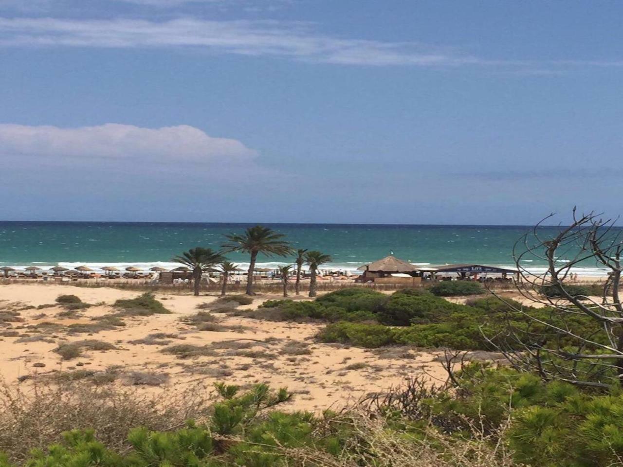 Arenales Del Sol Daire Dış mekan fotoğraf